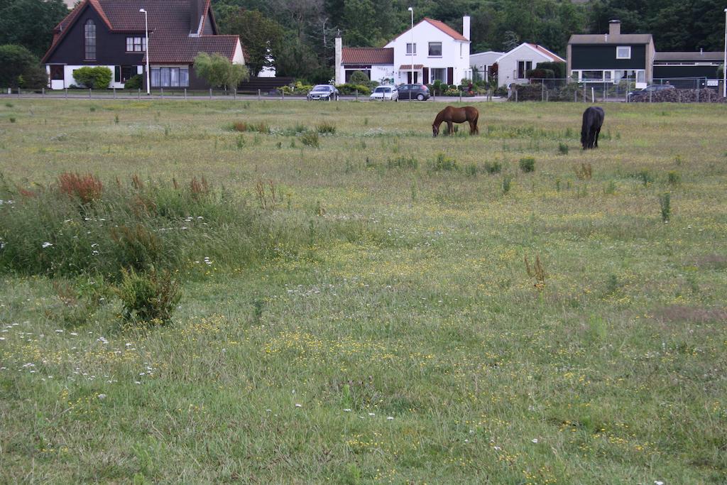 Villa 'T Haasduin Wijk aan Zee ภายนอก รูปภาพ