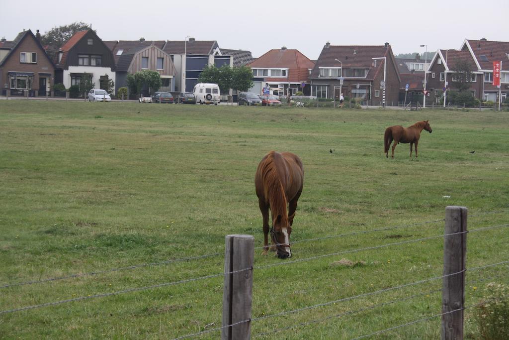 Villa 'T Haasduin Wijk aan Zee ภายนอก รูปภาพ