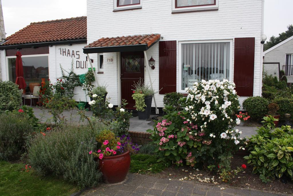 Villa 'T Haasduin Wijk aan Zee ภายนอก รูปภาพ
