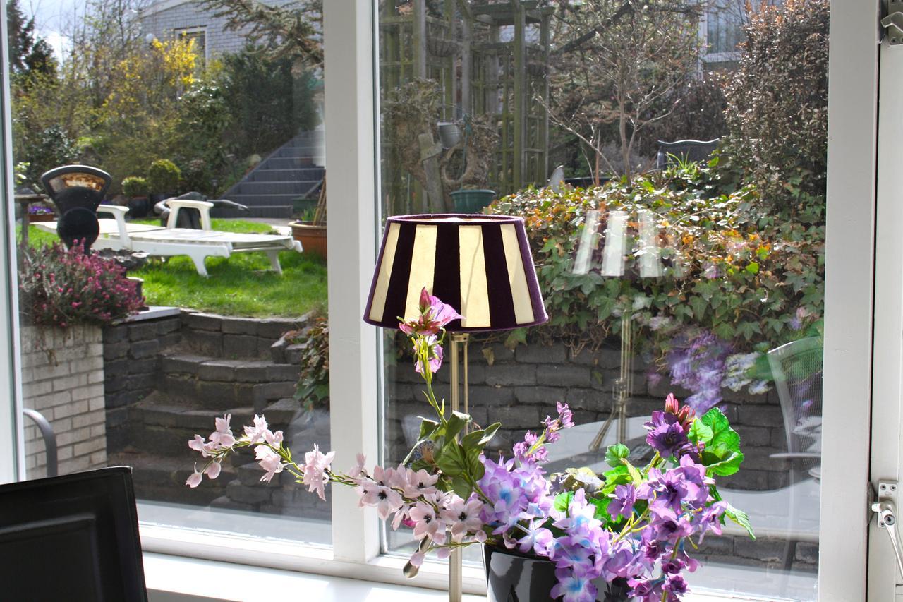 Villa 'T Haasduin Wijk aan Zee ภายนอก รูปภาพ